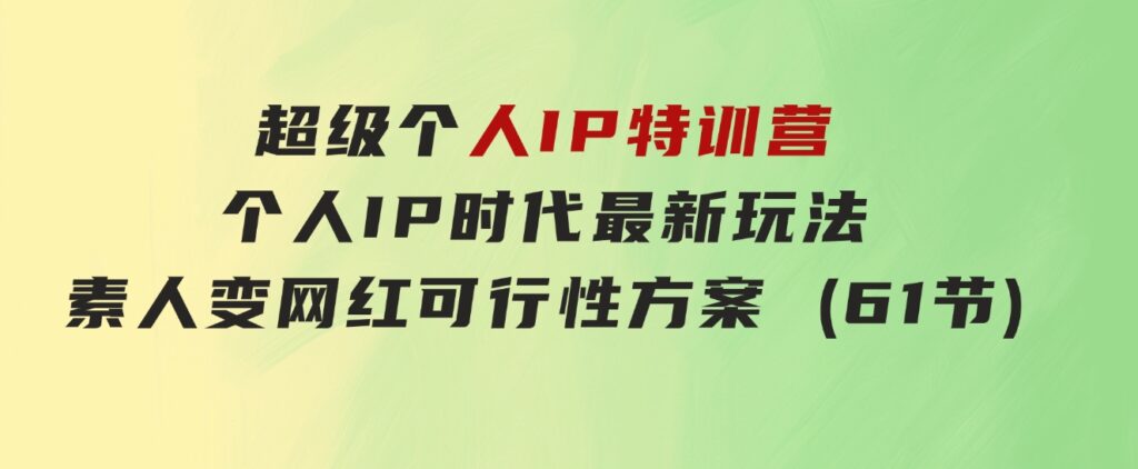 超级个人IP特训营，个人IP时代才最新玩法，素人变网红可行性方案(61节)-十一网创