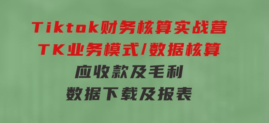 Tiktok财务核算实战营：TK业务模式/数据核算/应收款及毛利/数据下载及报表-十一网创