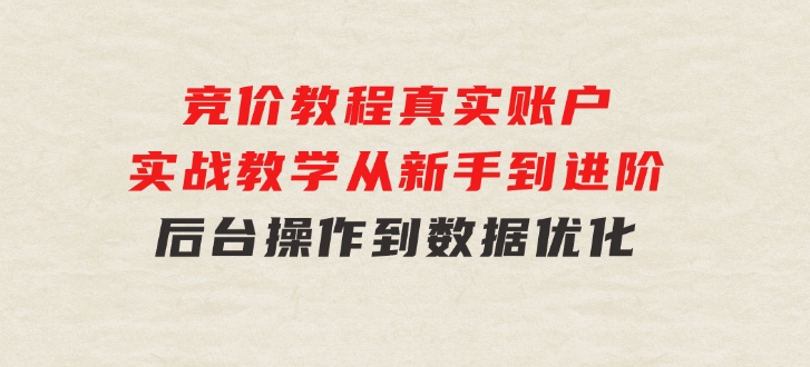 竞价教程：真实账户实战教学从新手到进阶·后台操作到数据优化-十一网创