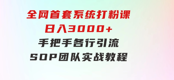 全网首套系统打粉课，日入3000+，手把手各行引流SOP团队实战教程-十一网创