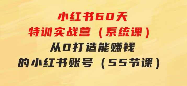 小红书60天特训实战营（系统课）从0打造能赚钱的小红书账号（55节课）-十一网创