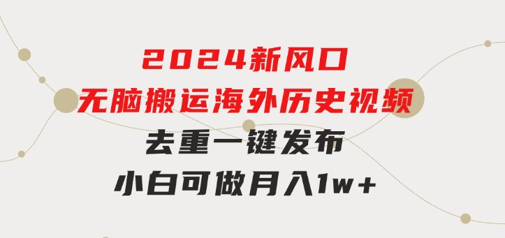 2024新风口，无脑搬运海外历史视频，去重一键发布，小白可做，月入1w不…-十一网创