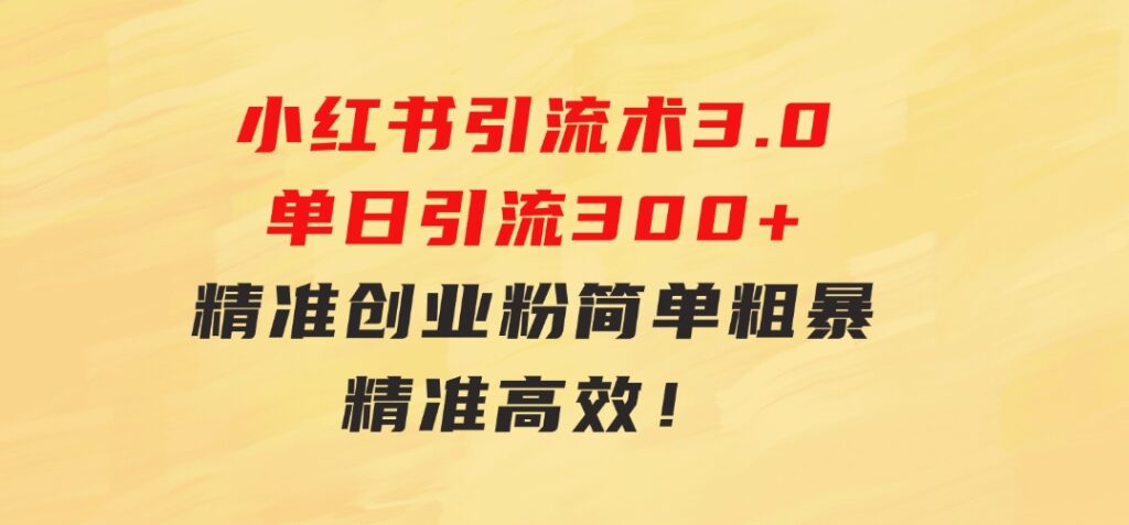 24年最新小红书引流术3.0，单日引流300+精准创业粉，简单粗暴，精准高效！-十一网创