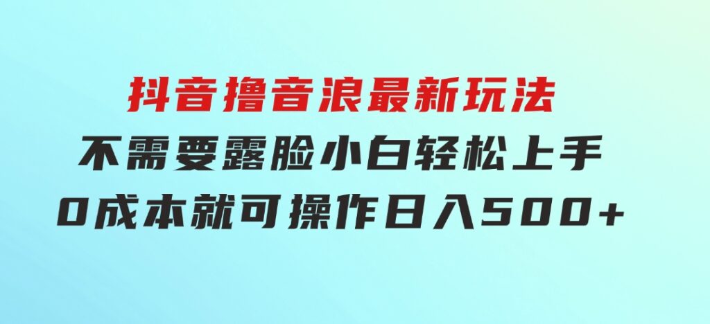 抖音撸音浪最新玩法，不需要露脸，小白轻松上手，0成本就可操作，日入500+-十一网创