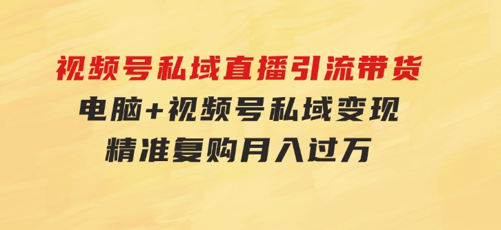 视频号私域直播引流带货：电脑+视频号，私域变现，精准复购，月入过万…-十一网创