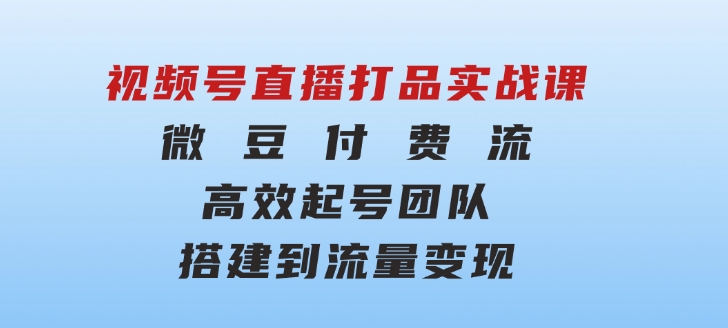 视频号直播打品实战课：微豆付费流，高效起号，团队搭建到流量变现-十一网创