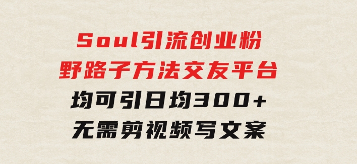 Soul引流创业粉野路子方法，交友平台均可引日均300+，无需剪视频写文案-十一网创