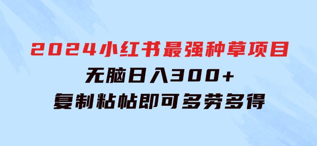 2024小红书最强种草项目，无脑日入300+，复制粘帖即可，多劳多得-十一网创