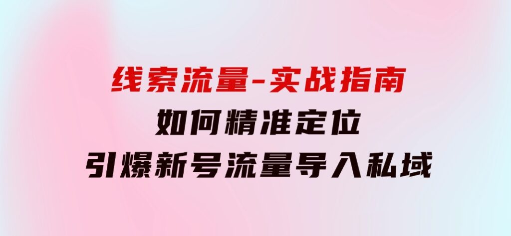 线索流量-实战指南：如何精准定位，引爆新号流量，导入私域-十一网创