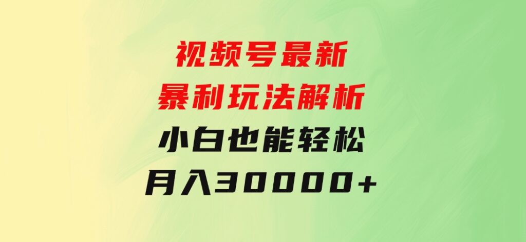 视频号最新暴利玩法解析，小白也能轻松月入30000+-十一网创