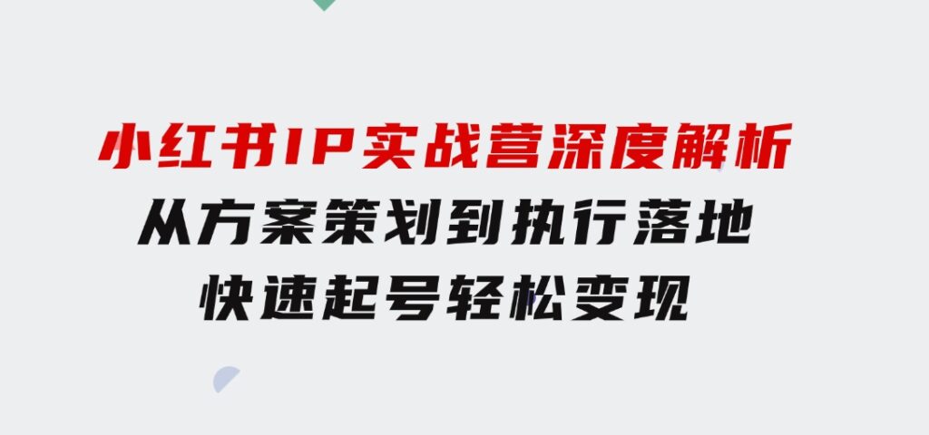 小红书IP实战营深度解析：从方案策划到执行落地，快速起号轻松变现-十一网创