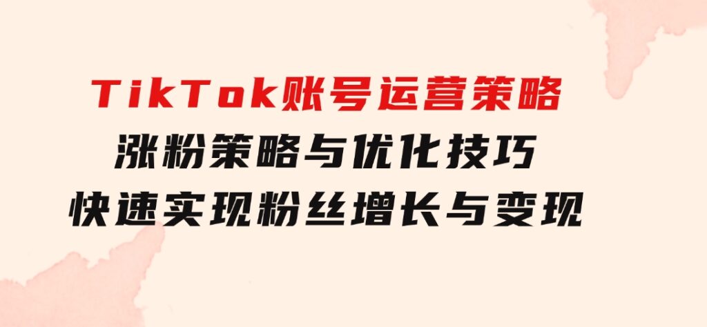 TikTok账号运营策略：涨粉策略与优化技巧，快速实现粉丝增长与变现-十一网创