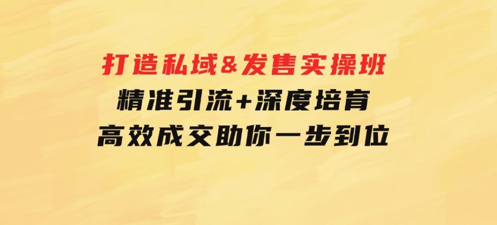 打造私域&发售实操班：精准引流+深度培育+高效成交，助你一步到位-十一网创