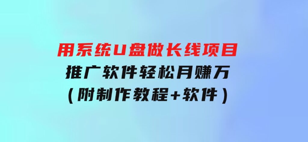 用系统U盘做长线项目，推广软件轻松月赚万元（附制作教程+软件）-十一网创