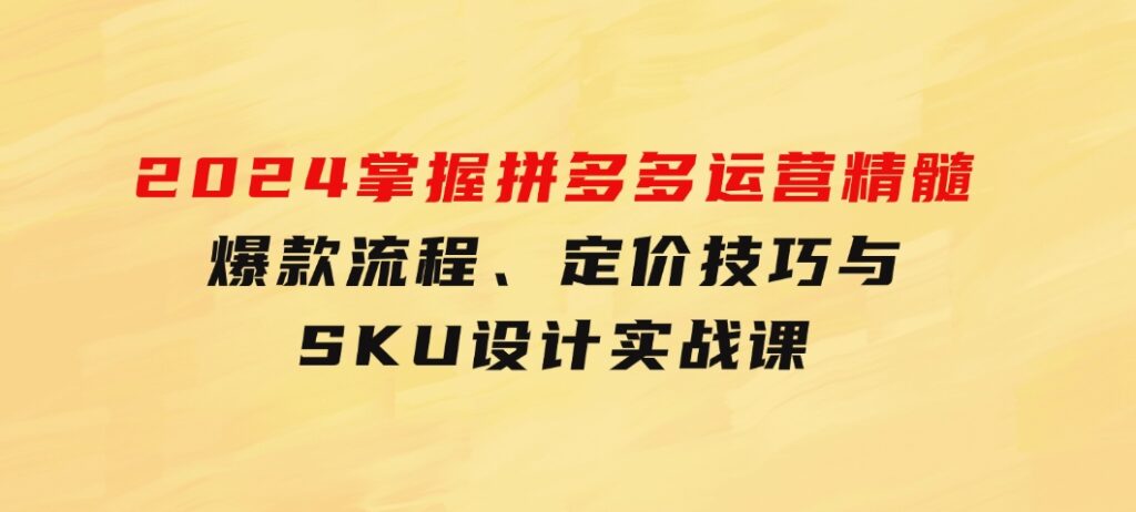 2024掌握拼多多运营精髓：爆款流程、定价技巧与SKU设计实战课-十一网创