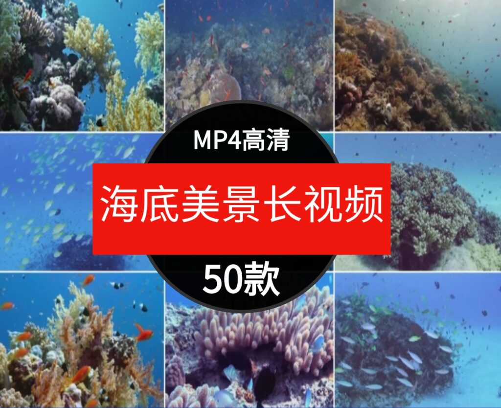 高清海底世界海洋生物鱼群海豚鲨鱼珊瑚潜水特写实拍剪辑视频素材-十一网创