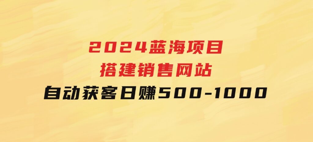 2024蓝海项目，搭建销售网站，自动获客，日赚500-1000-十一网创