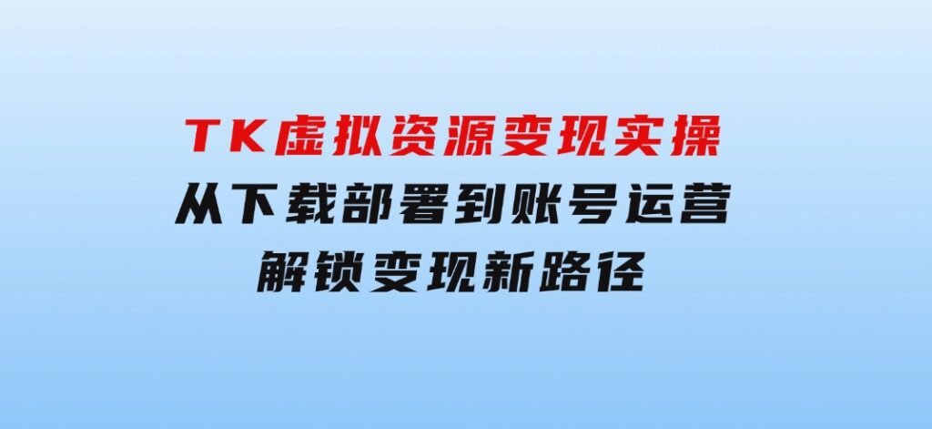 TK虚拟资源变现实操：从下载部署到账号运营，解锁变现新路径-十一网创