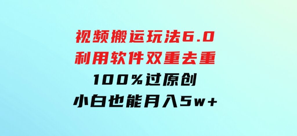 视频搬运玩法6.0，利用软件双重去重，100%过原创，小白也能月入5w+-十一网创