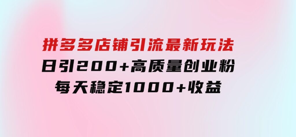 拼多多店铺引流最新玩法，日引200+高质量创业粉，每天稳定1000+收益（-十一网创