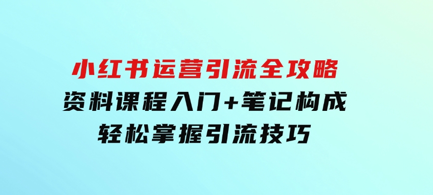 小红书运营引流全攻略：资料课程入门+笔记构成，轻松掌握引流技巧-十一网创