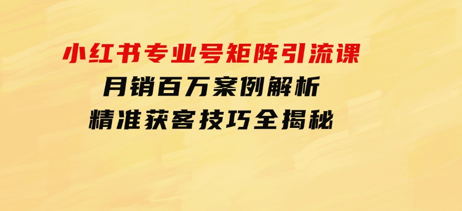 小红书专业号矩阵引流课，月销百万案例解析，精准获客技巧全揭秘-十一网创