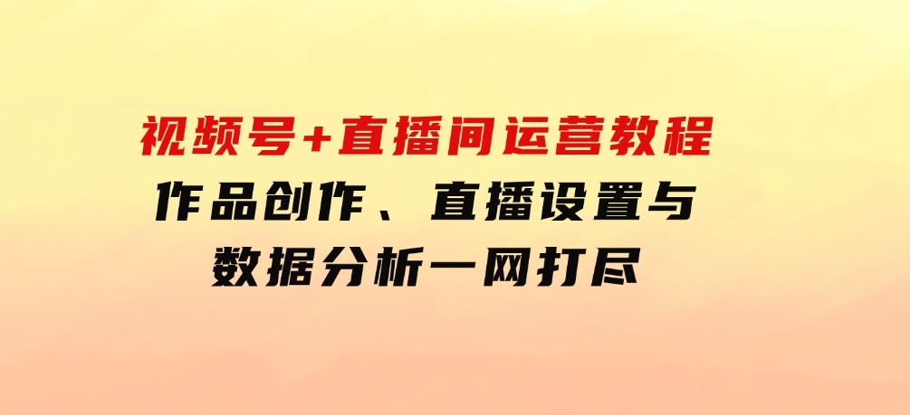 视频号+直播间运营教程：作品创作、直播设置与数据分析一网打尽-十一网创