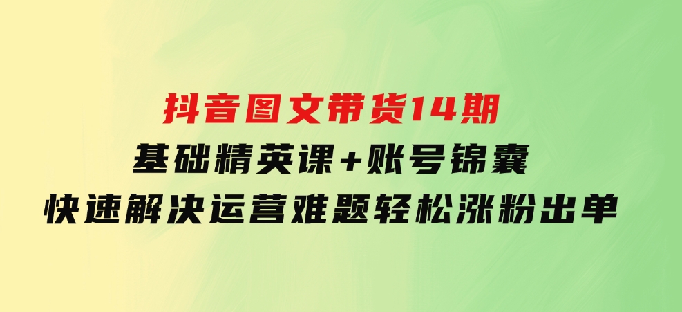 抖音图文带货14期：基础精英课+账号锦囊，快速解决运营难题轻松涨粉出单-十一网创