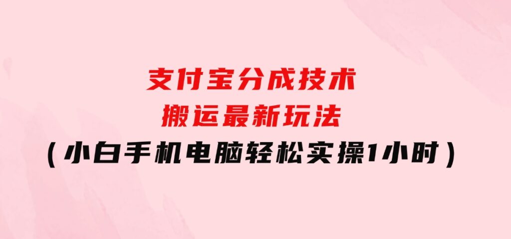 支付宝分成技术搬运“最新玩法”（小白手机电脑轻松实操1小时）-十一网创