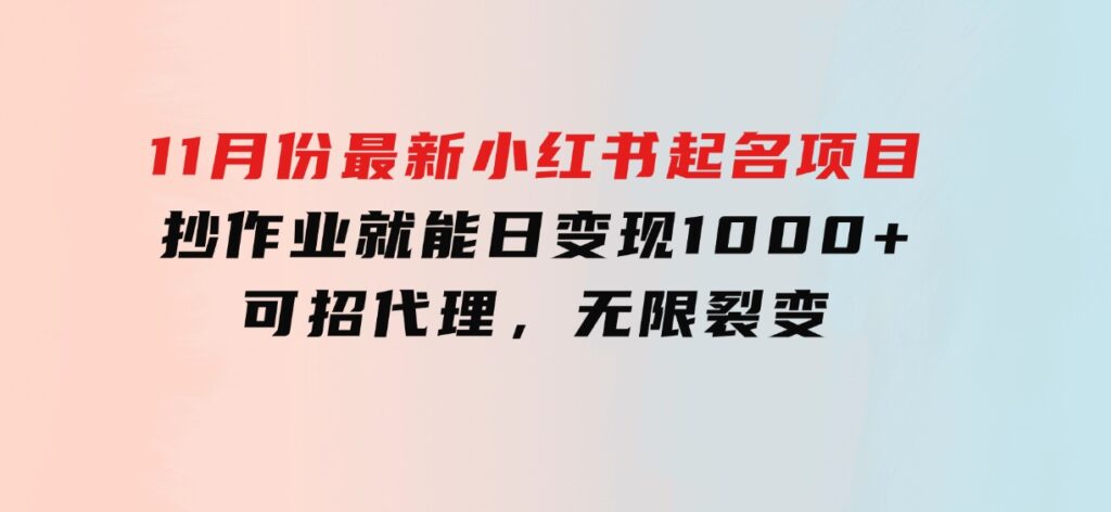 11月份最新小红书起名项目，抄作业就能日变现1000+，可招代理，无限裂变-十一网创