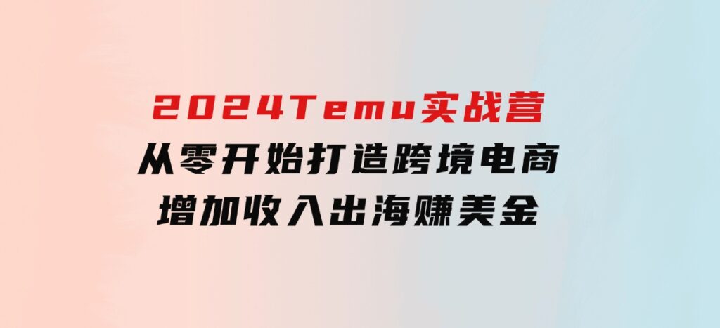 2024Temu实战营：从零开始打造跨境电商，增加收入，出海赚美金-十一网创