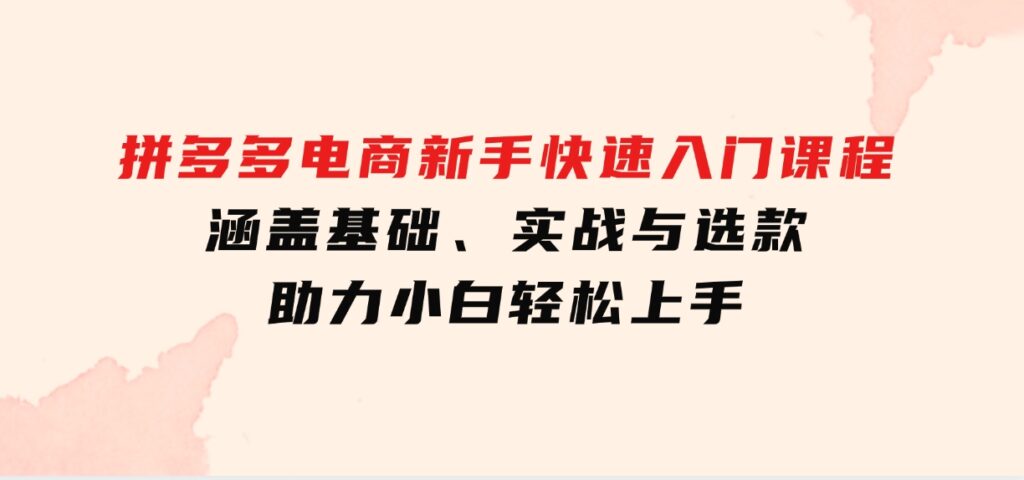 拼多多电商新手快速入门课程：涵盖基础、实战与选款，助力小白轻松上手-十一网创