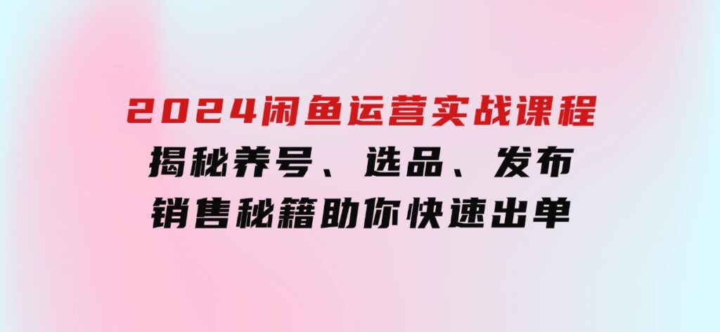 2024闲鱼运营实战课程：揭秘养号、选品、发布与销售秘籍，助你快速出单-十一网创