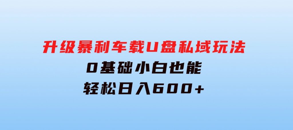 升级暴利车载U盘私域玩法，0基础小白也能轻松日入600+-十一网创