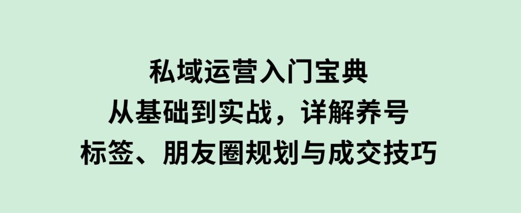 私域运营入门宝典：从基础到实战，详解养号、标签、朋友圈规划与成交技巧-十一网创