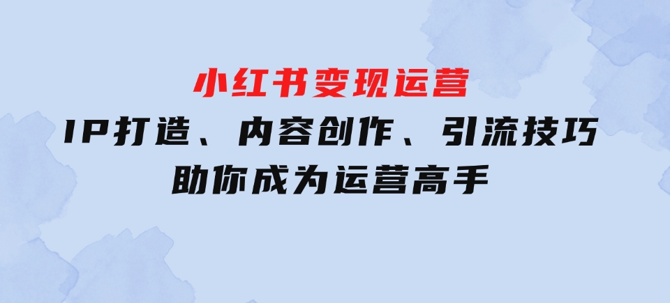 IP打造、内容创作、引流技巧助你成为运营高手-十一网创