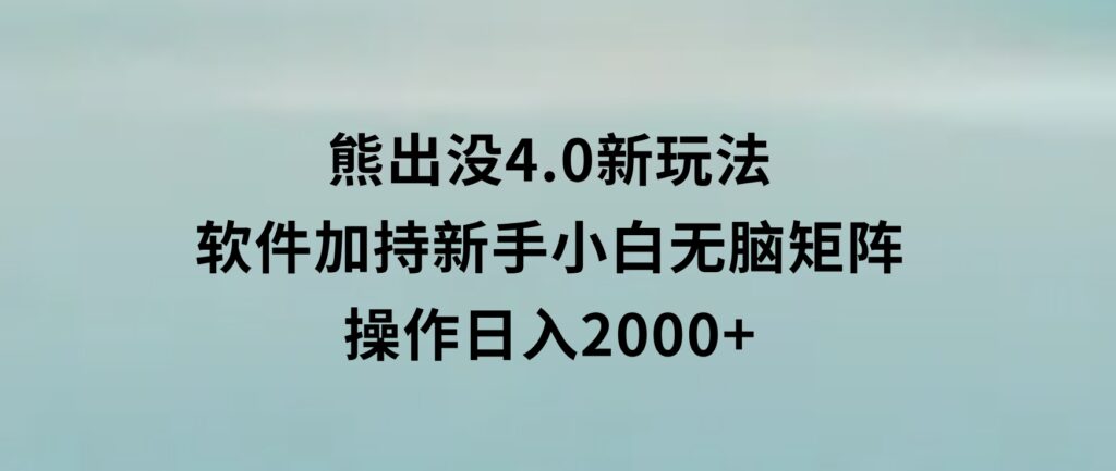 熊出没4.0新玩法，软件加持，新手小白无脑矩阵操作，日入2000+-十一网创