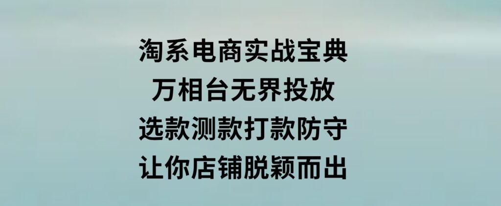 淘系电商实战宝典：万相台无界投放，选款测款打款防守，让你店铺脱颖而出-十一网创