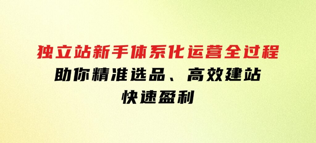 独立站新手体系化运营全过程，助你精准选品、高效建站、快速盈利-十一网创