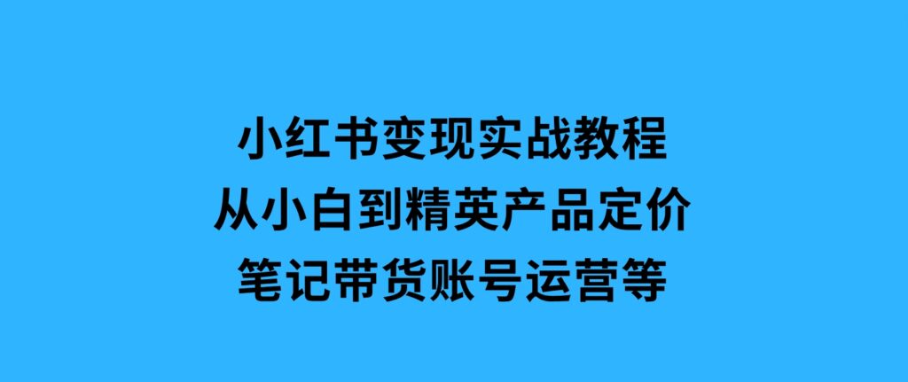 小红书变现实战教程：从小白到精英，产品定价，笔记带货，账号运营等-十一网创