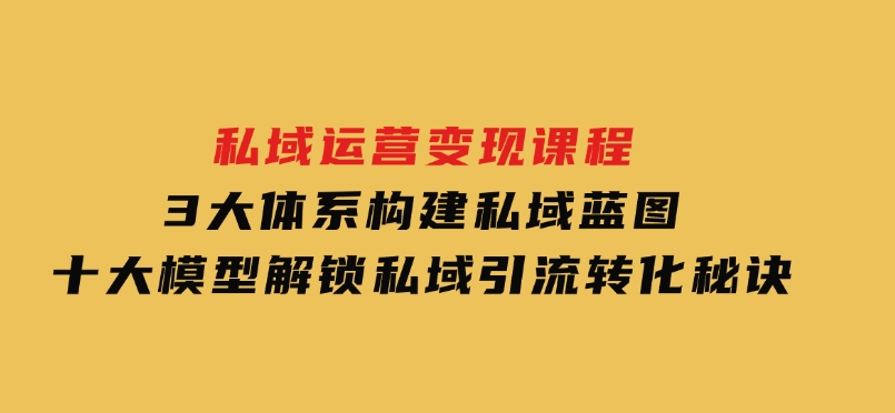 私域运营变现课程，3大体系构建私域蓝图，十大模型解锁私域引流转化秘诀-十一网创